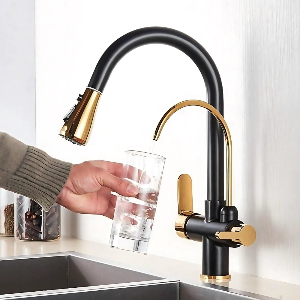 Mitigeur Double Sortie Avec Douchette Extractible Noir Finition Or - AUREL